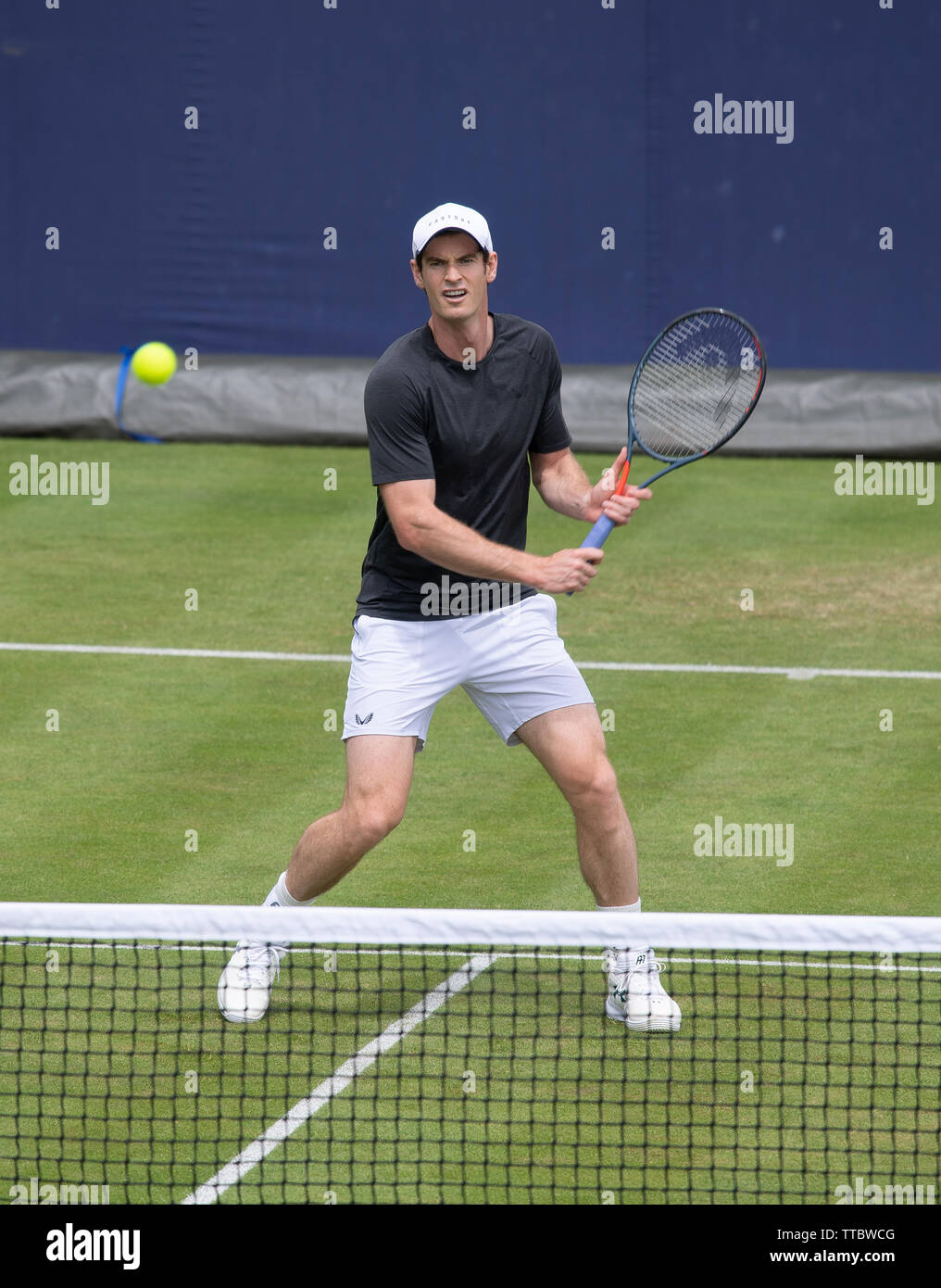 Die Queens Club, London, Großbritannien. 16. Juni 2019. Andy Murray auf der Praxis Gericht am Fieber Baum Meisterschaften. Credit: Malcolm Park/Alamy Leben Nachrichten. Stockfoto