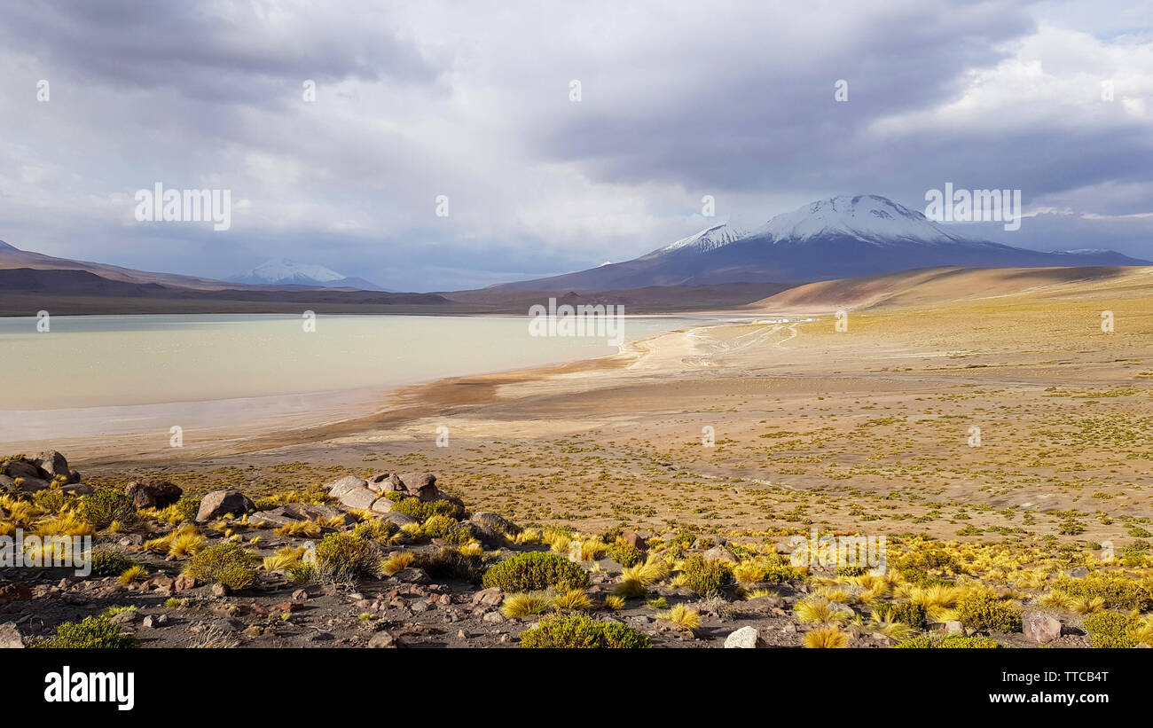 Laguna Hedionda in der Wüste Landschaft der andinen Hochebene Boliviens Stockfoto