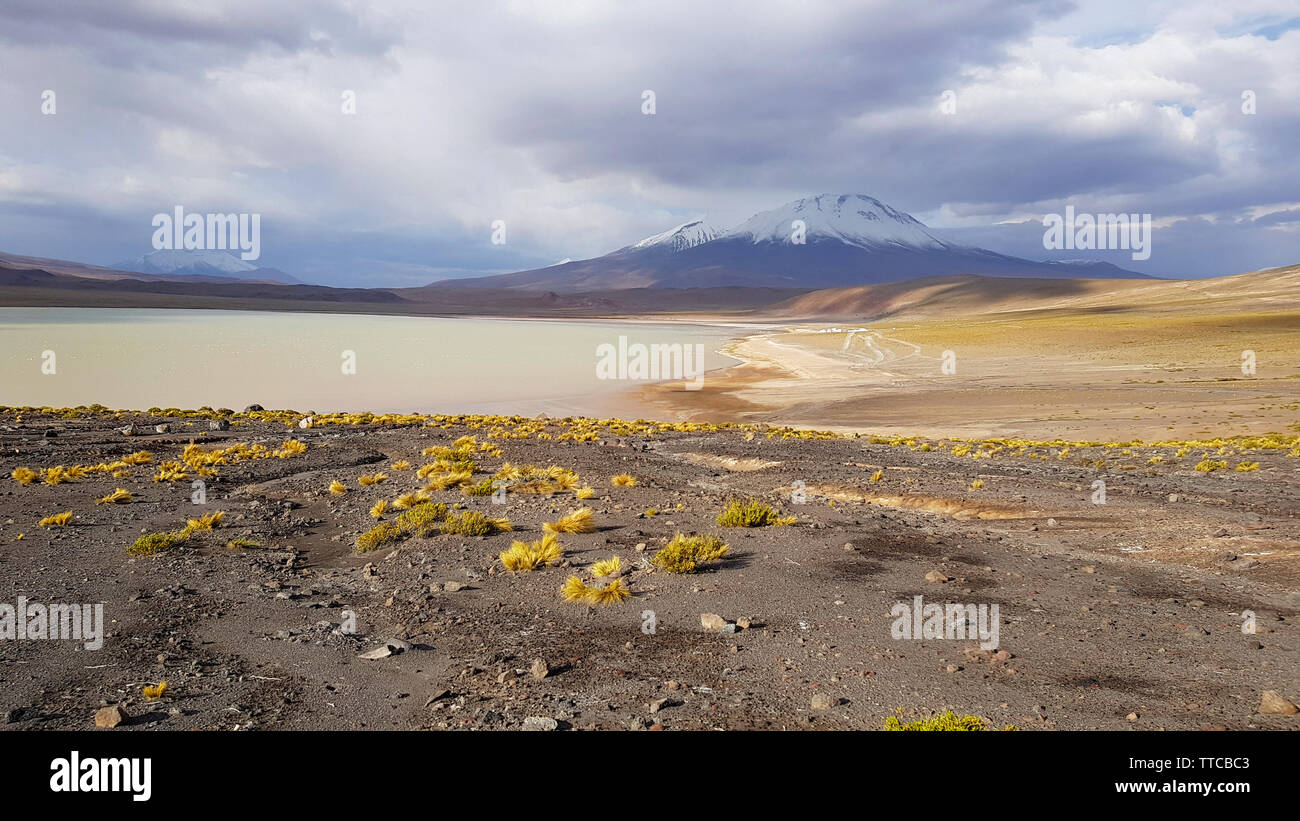 Laguna Hedionda in der Wüste Landschaft der andinen Hochebene Boliviens Stockfoto
