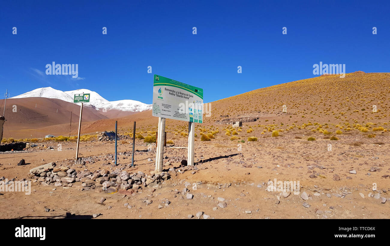 Wüste Landschaft der andinen Hochebene Boliviens mit schneebedeckten Vulkanen. Schild Stockfoto