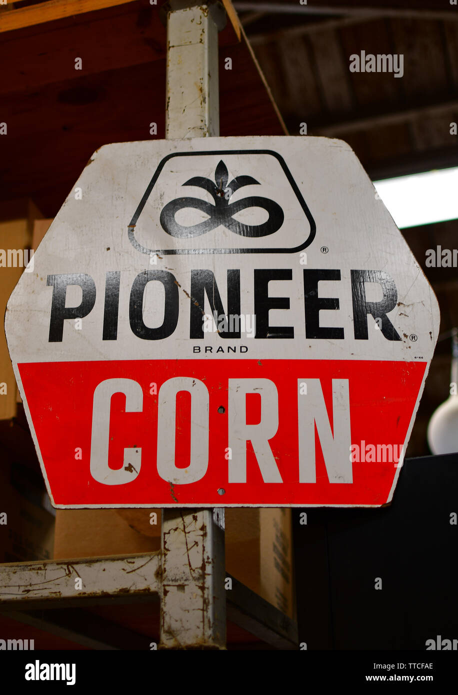 Pioneer Mais Zeichen in einem Hardware-store Stockfoto