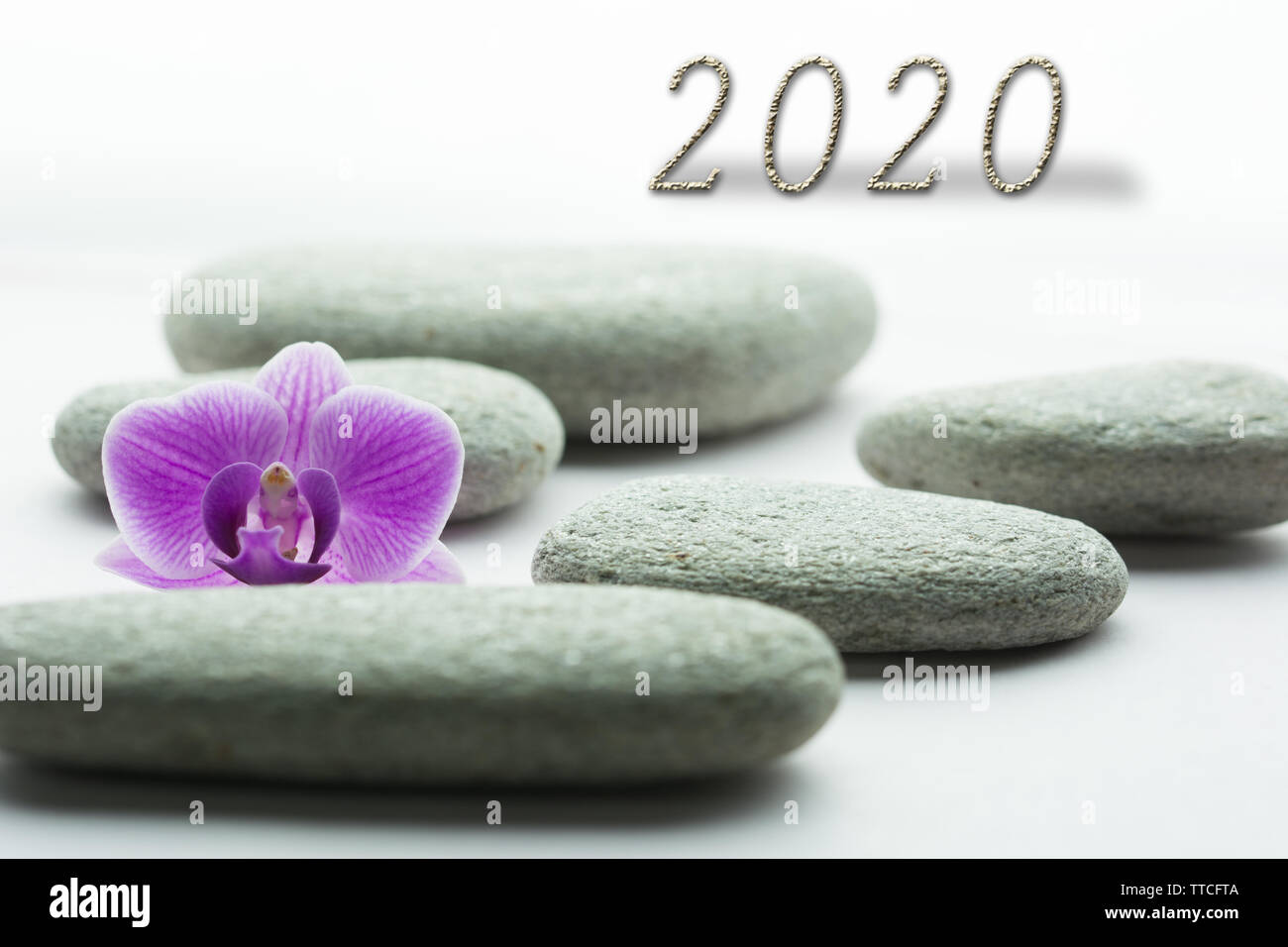 Neues Jahr Konzept. 2020 Jahr Anzahl mit grauen roundstones mit einer Orchideen blühen Stockfoto