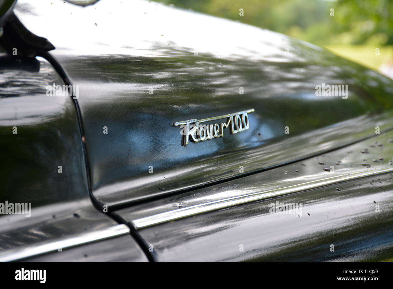 In der Nähe des Rover 100 Classic Car zeigt die Chrome Badge auf der Motorhaube Stockfoto