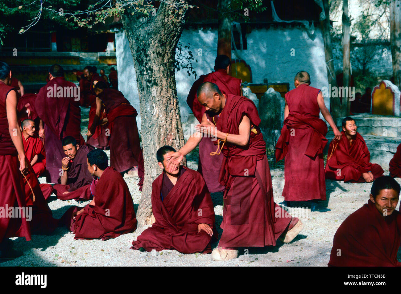 Diskutieren Mönche, Kloster Sera, Lhasa, Tibet Stockfoto