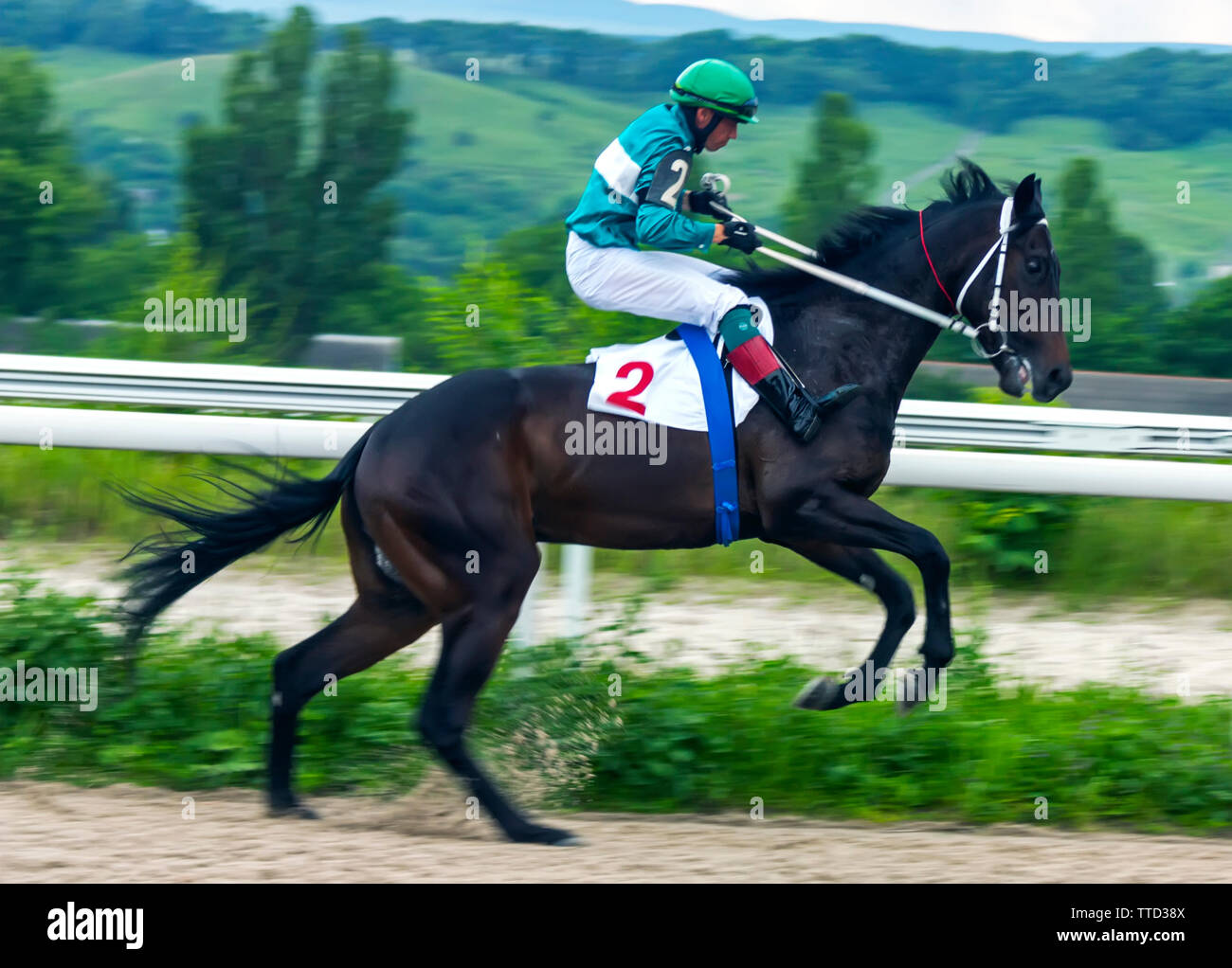 Vor dem Pferd Rennen in Pyatigorsk Stockfoto