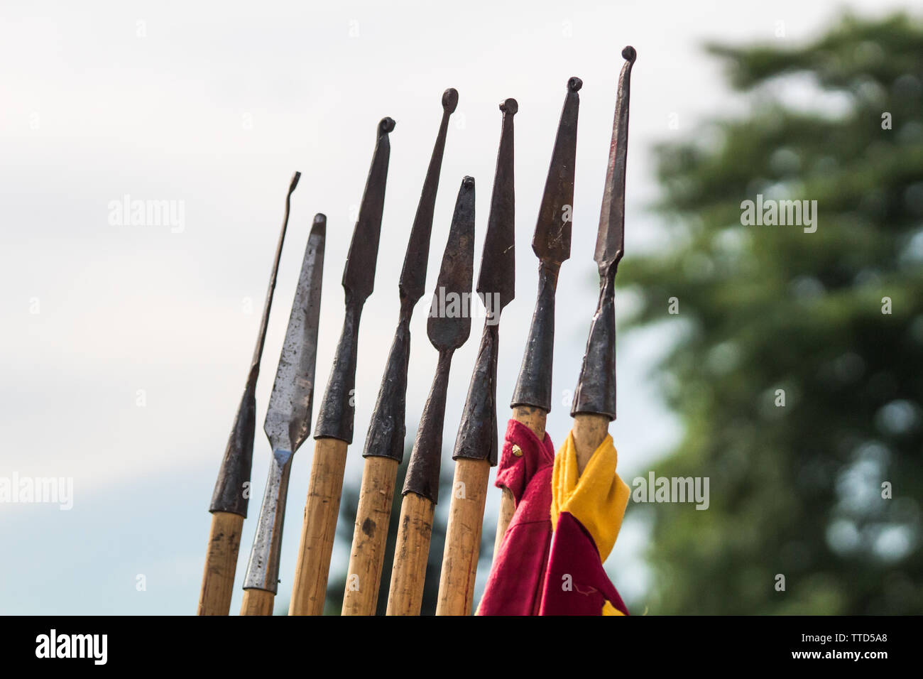 Mittelalterliche Speer Stockfoto