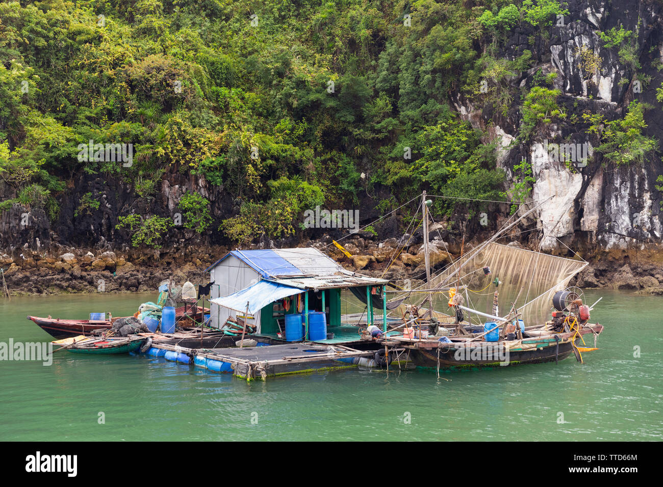 Schwimmende Fischerdorf in Ha Long Bucht in der Nähe von Insel Cat Ba, Hai Phong Provinz, Vietnam, Asien Stockfoto
