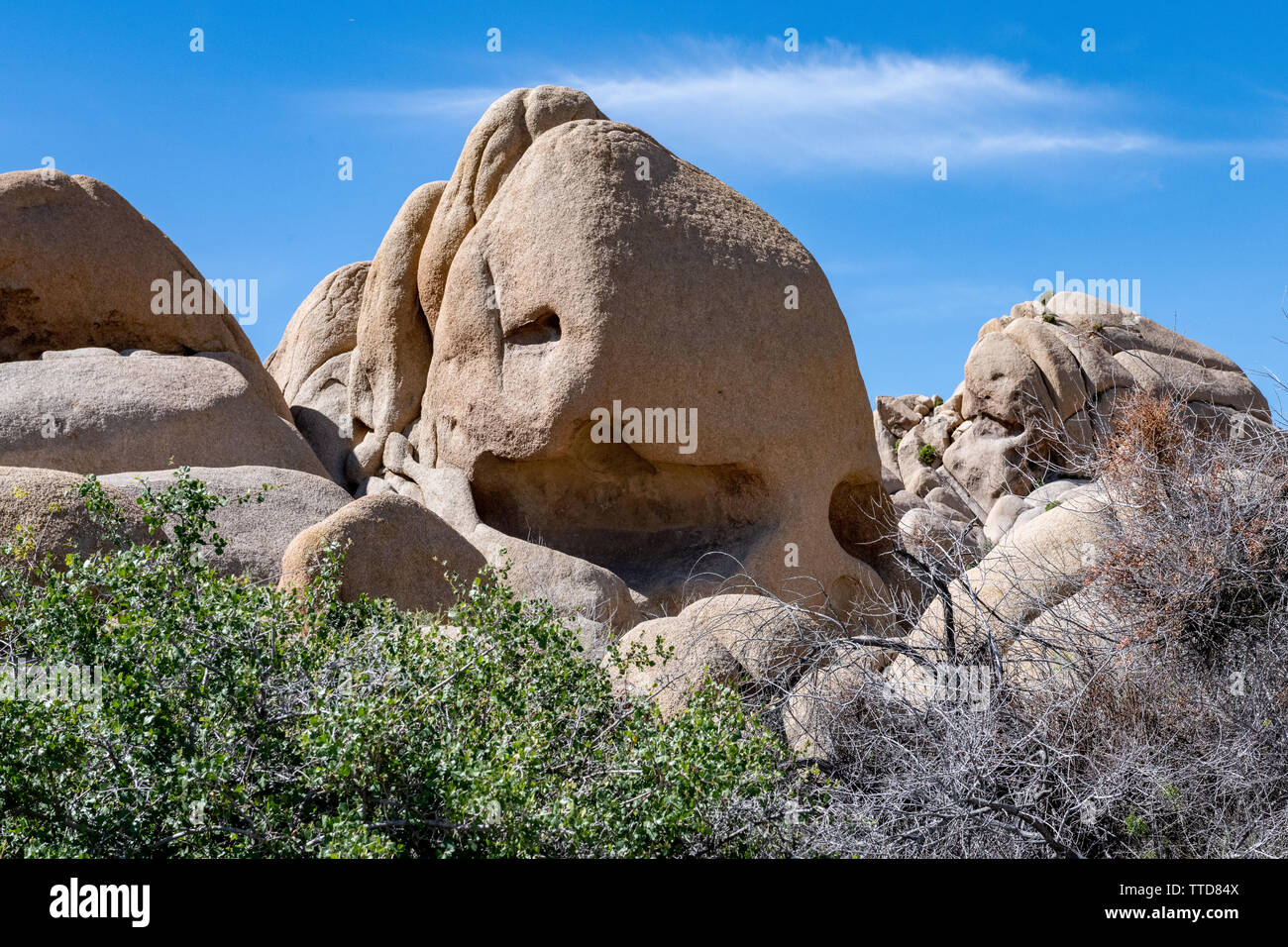 Skull Rock im Joshua Tree National Park im Süden von Kalifornien, USA Stockfoto