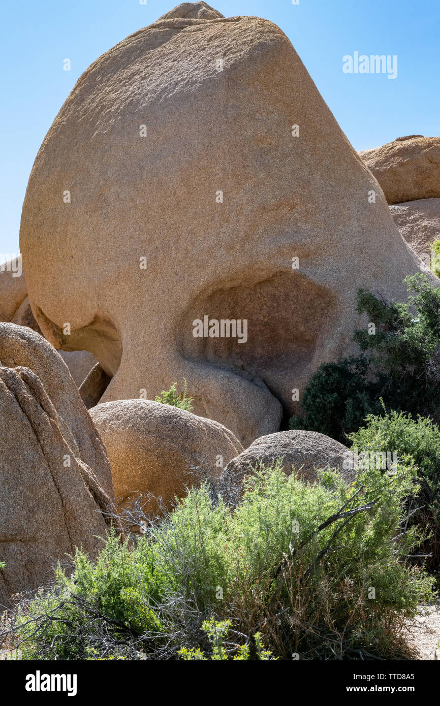 Skull Rock im Joshua Tree National Park im Süden von Kalifornien, USA Stockfoto