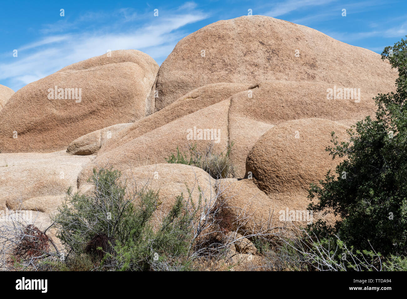 Große Felsbrocken in der Nähe von Skull Rock im Joshua Tree National Park, Kalifornien, USA Stockfoto