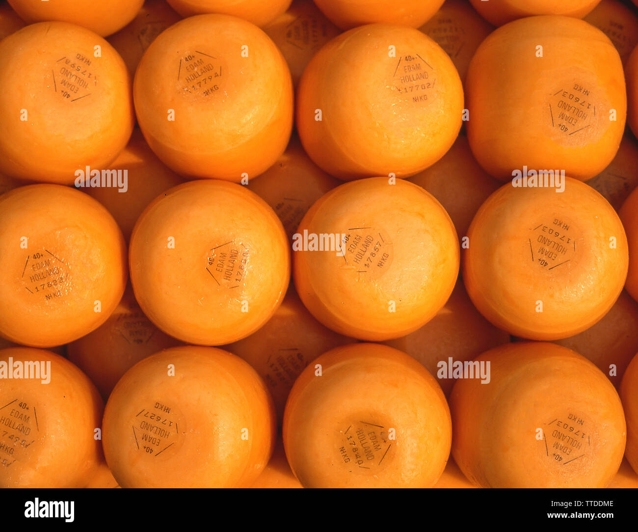 Gewachste Zylinder von Edamer Käse, Edamer, Nordholland (Noord-Holland), Königreich der Niederlande Stockfoto