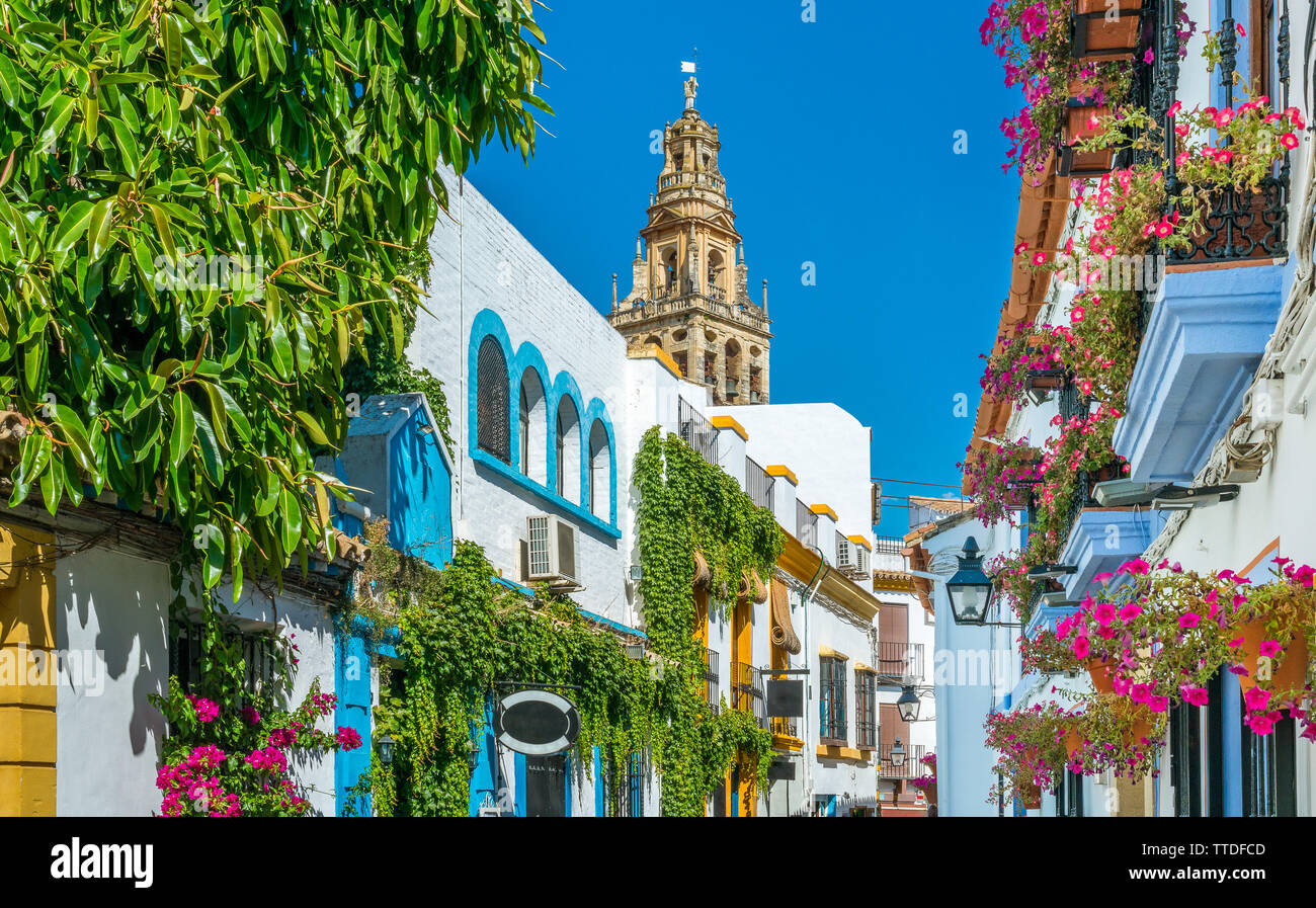 Malerische Anblick in der malerischen Cordoba jüdische Viertel mit den Glockenturm der Moschee Kathedrale. Andalusien, Spanien. Stockfoto