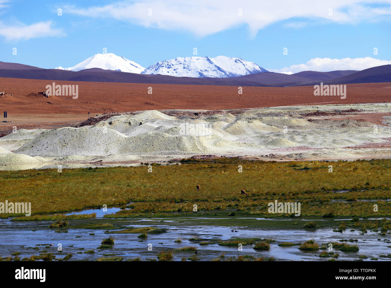 Tal Der Geysire Stockfotos und -bilder Kaufen - Alamy