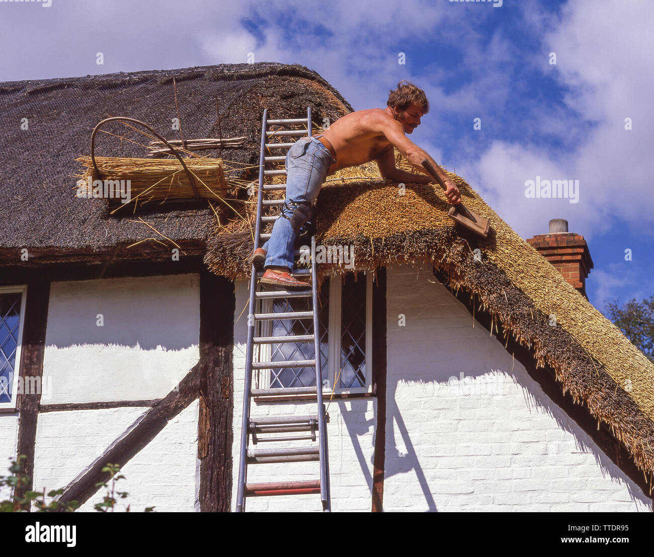 Thatch Arbeiter Instandsetzung Strohdach auf Periode Cottage, Hartley Wintney, Hampshire, England, Vereinigtes Königreich Stockfoto