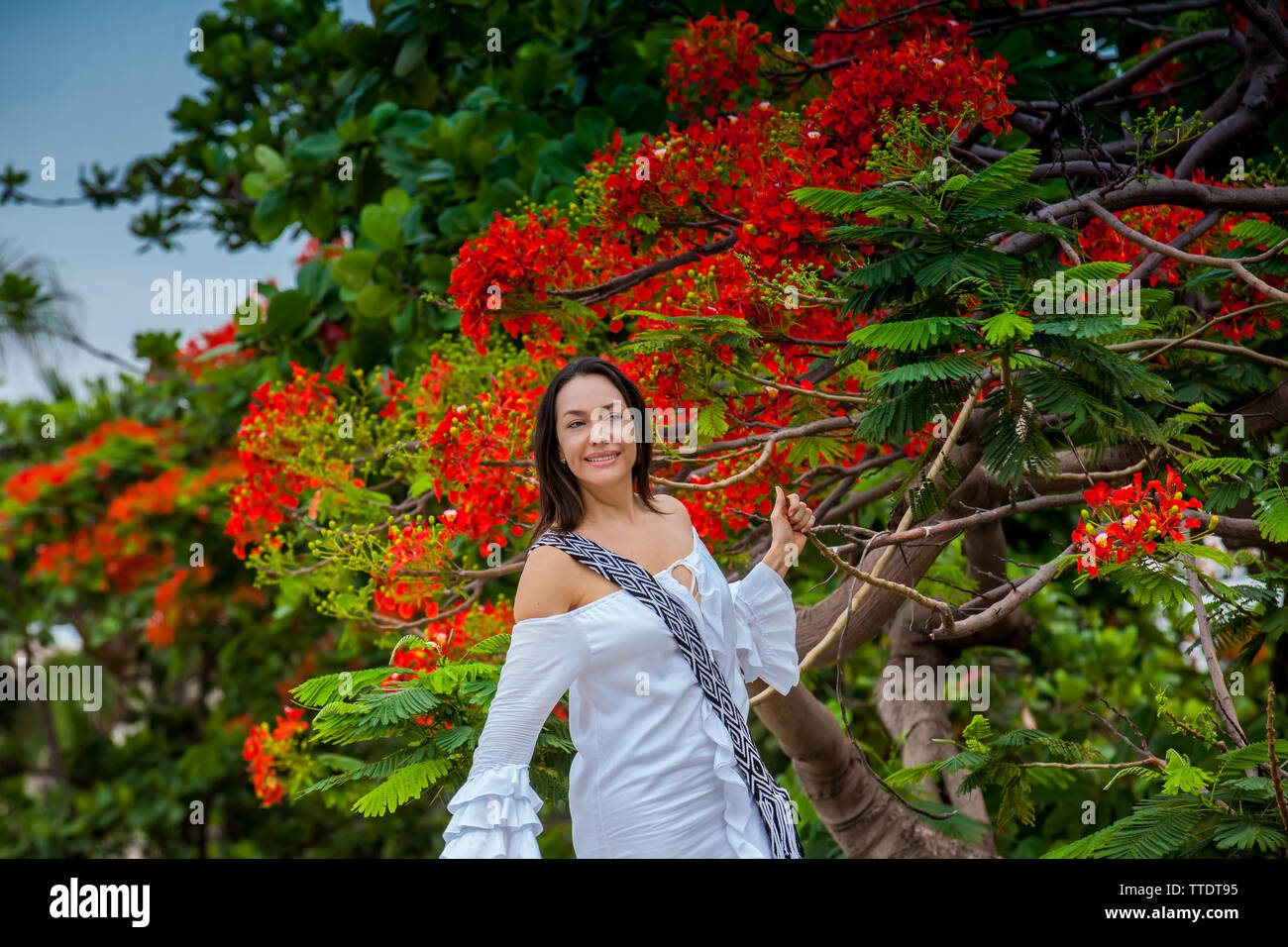 Frau im weißen Kleid neben einem wunderschönen blühenden Baum an die Wände, die die koloniale Stadt Cartagena de Indias Stockfoto