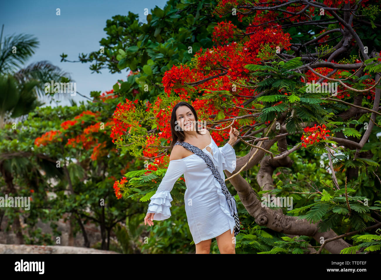 Frau im weißen Kleid neben einem wunderschönen blühenden Baum an die Wände, die die koloniale Stadt Cartagena de Indias Stockfoto