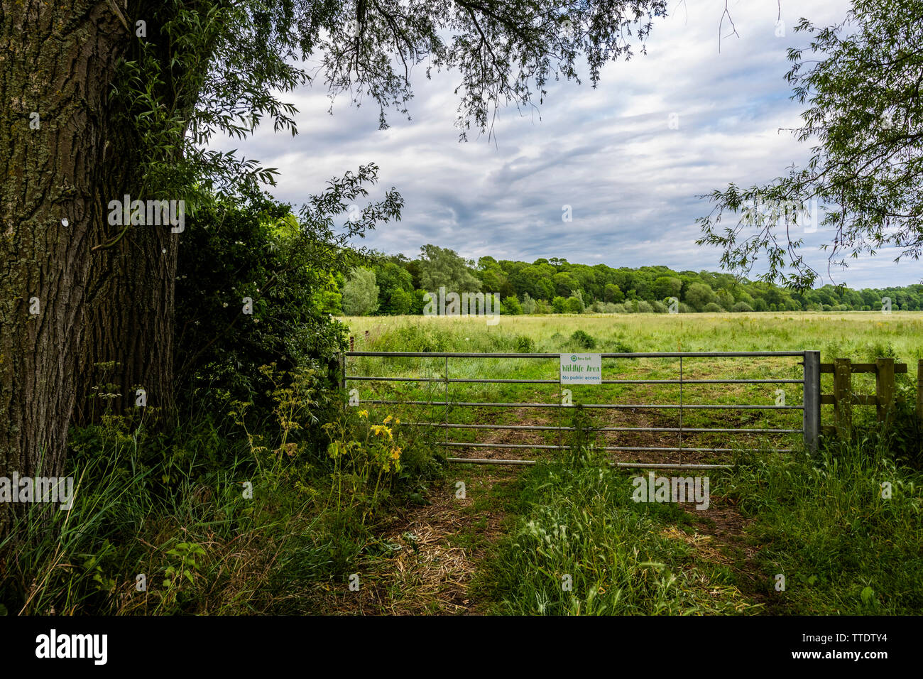 Ein Metalltor im Ferry Meadows Country Park, Peterborough, Cambridgeshire, England, mit einem temporären Schild, das den Zugang zu einem Wildtiergebiet verbietet Stockfoto