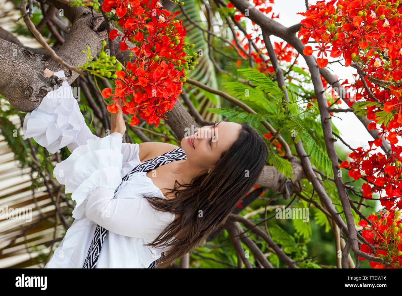 Frau im weißen Kleid neben einem wunderschönen blühenden Baum an die Wände, die die koloniale Stadt Cartagena de Indias Stockfoto