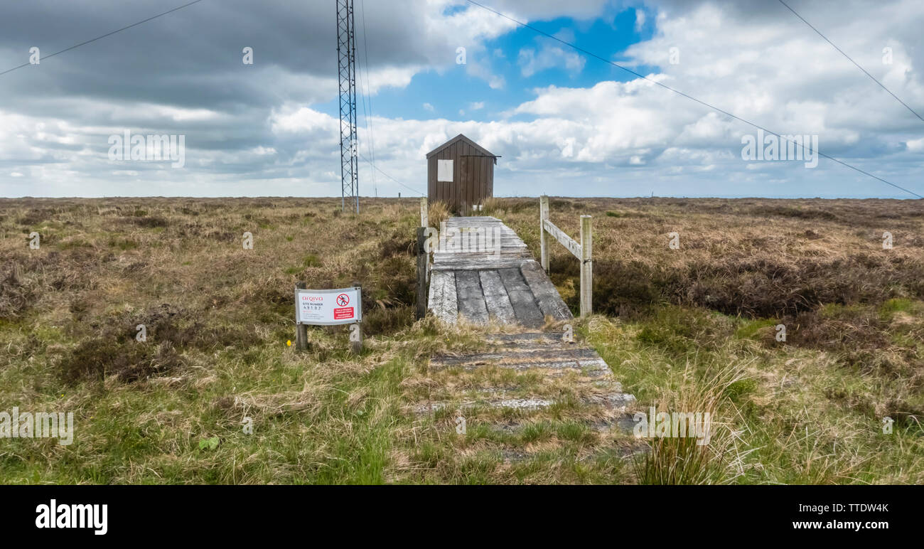 Holzhütte und Handy-Mast am Gipfel des Wolftrap Mountain in den Slieve Bloom Mountains (Hügel) von Zentralirland, County Offaly, Irland Stockfoto
