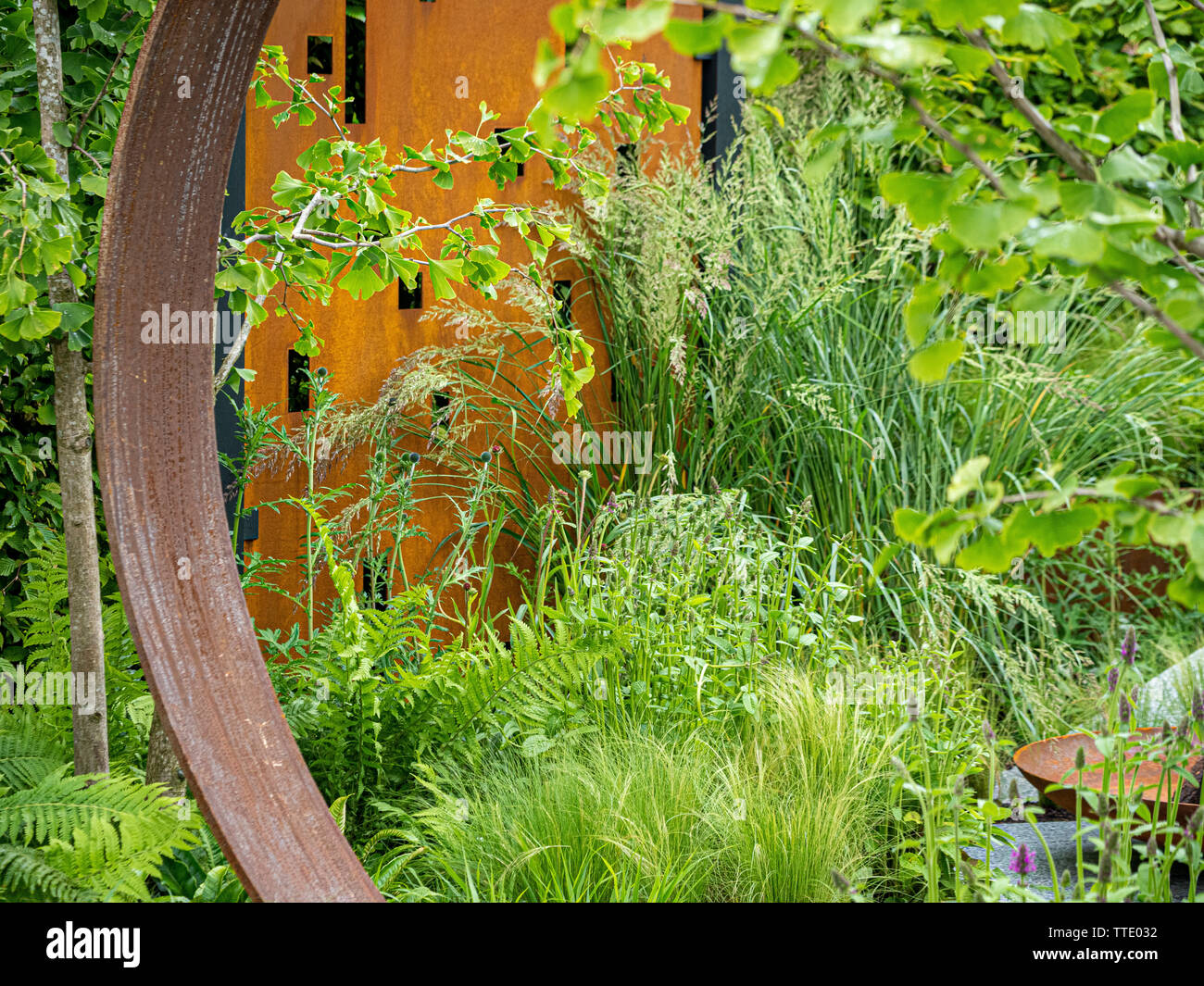 Verwitterung Stahl, häufig gekennzeichnet durch die generische Marke COR-TEN Stahl in zeitgenössischer Garten Design verwendeten Struktur und Screening zu erstellen. Stockfoto