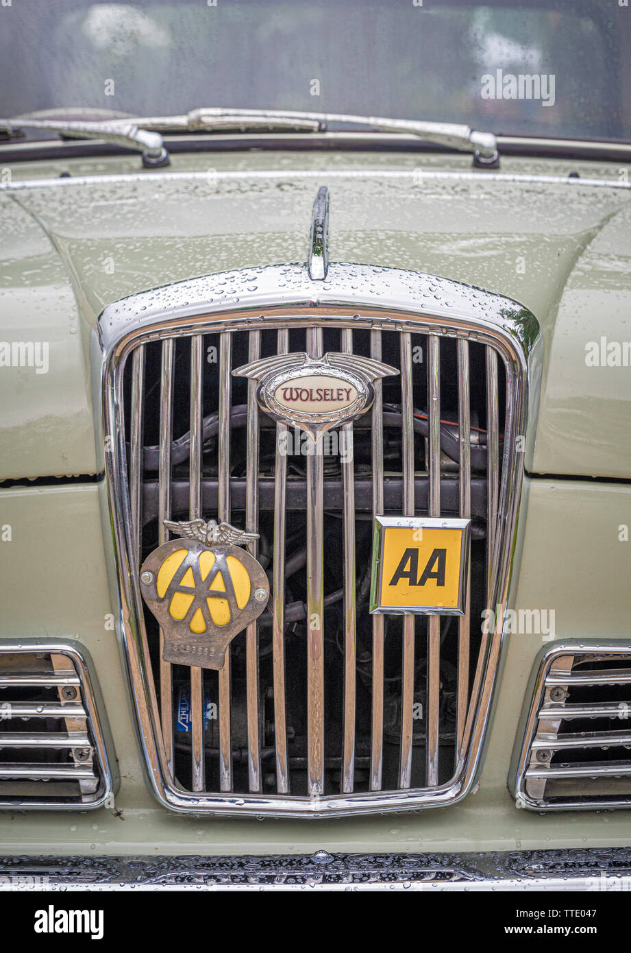 Vorne chrom Kühlergrill von Wolseley Auto mit traditionellen AA Metall  Abzeichen Stockfotografie - Alamy