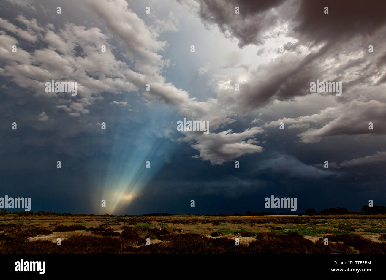 Lichtstrahlen gegen einen sehr dunklen Himmel Stockfoto