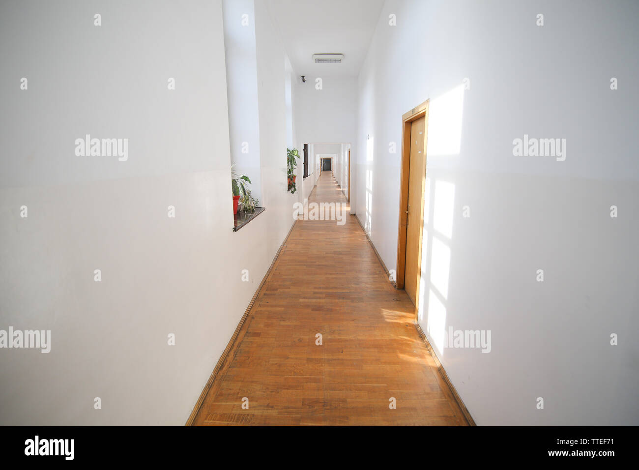 Lange leeren Flur in einem alten Gebäude mit weißer frisch gestrichenen  Wänden und Parkett Stockfotografie - Alamy