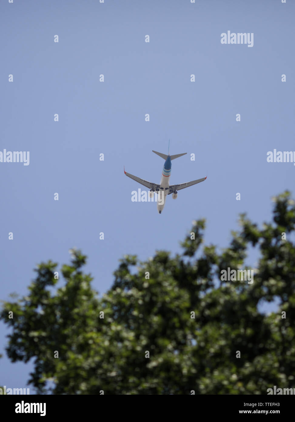 Kommerzielle Fluglinie Flugzeug kann fliegen über grüne Bäume gesehen werden. Stockfoto