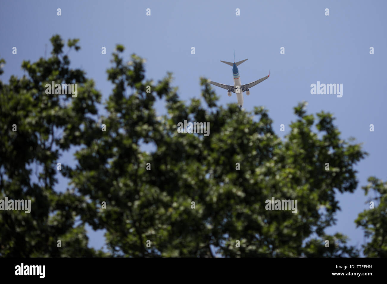 Kommerzielle Fluglinie Flugzeug kann fliegen über grüne Bäume gesehen werden. Stockfoto