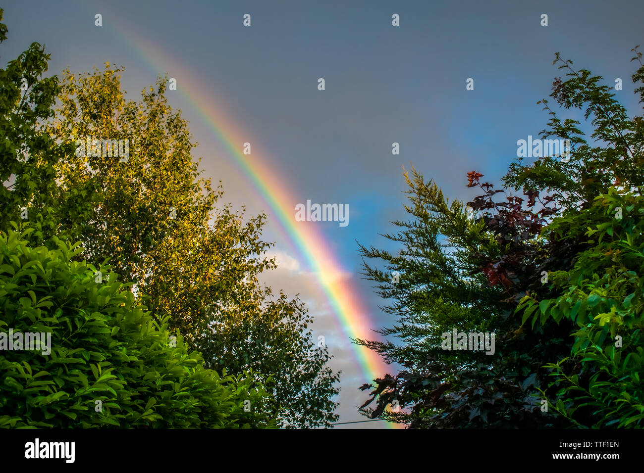Ein Regenbogen erscheint in einer stürmischen bewölkten Himmel - perfekt von sattem Grün umgeben. Die britische Landschaft und Wetter. Oxfordshire, England. Stockfoto