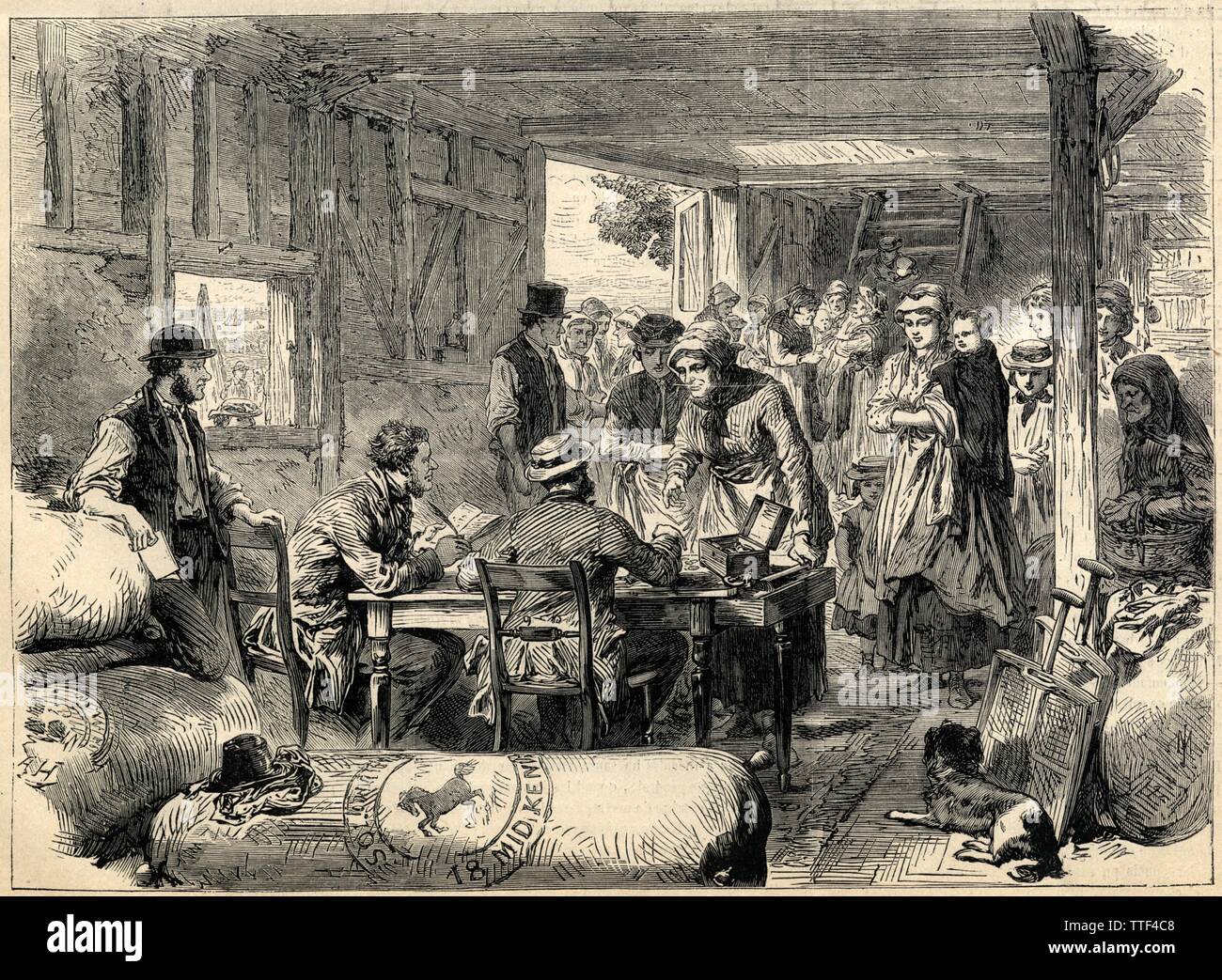 LA RÉCOLTE DU HOUBLON EN ANGLETERRE. LE JOUR DE LA PAYE. 1871 Stockfoto