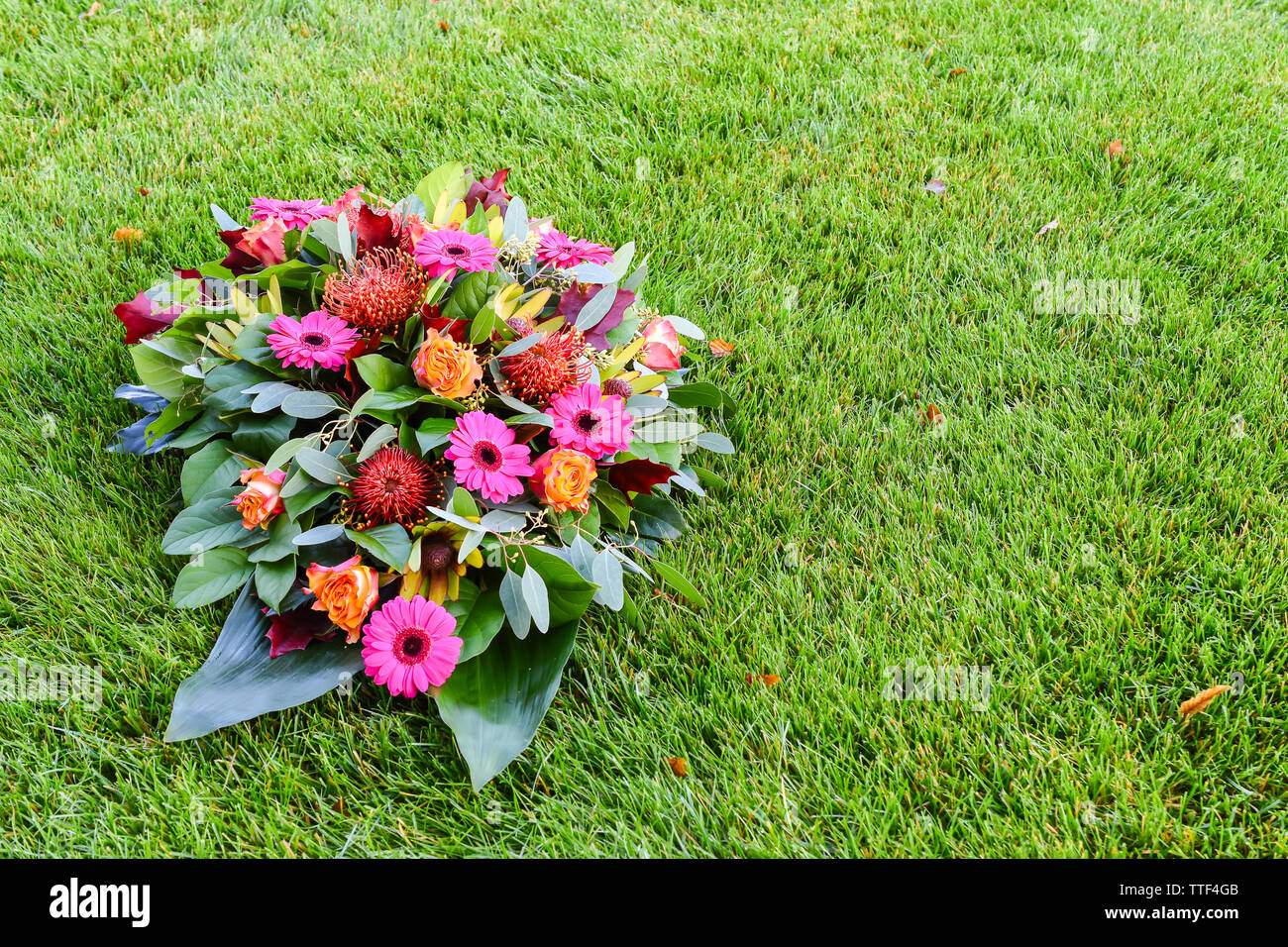 Rosa und Orange farbige Blume Anordnung auf Rasen. Allerheiligen Blumenarrangements, Blumen für das Grab und Bestattung. Blumige Hintergründe für die Trauer Stockfoto