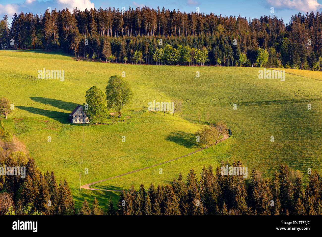 Einsame farm house in hügeliger Landschaft, St. Märgen, Schwarzwald, Baden-Württemberg, Deutschland Stockfoto