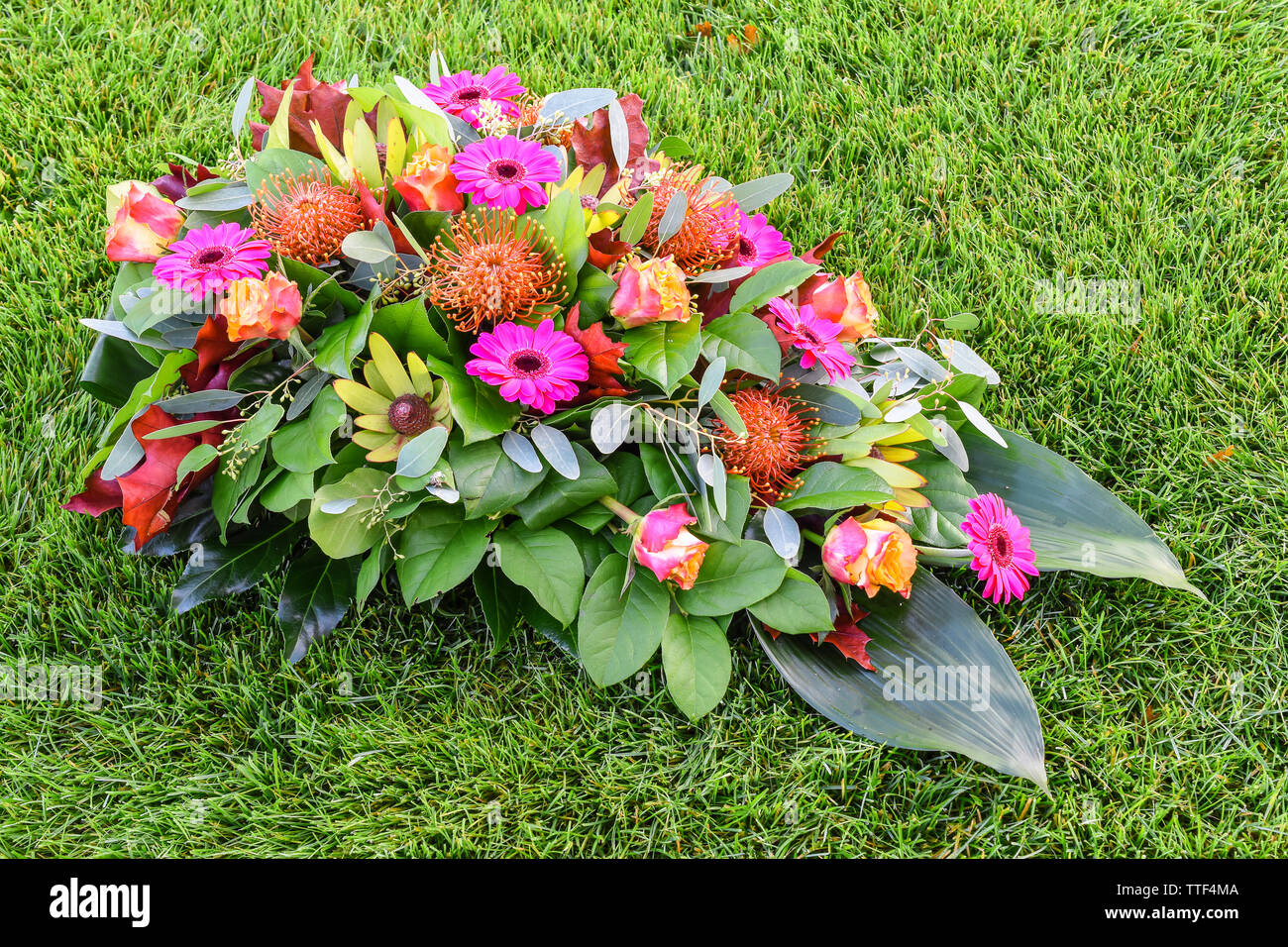 Bunte Blumenarrangement auf grünem Grasfeld. Stockfoto