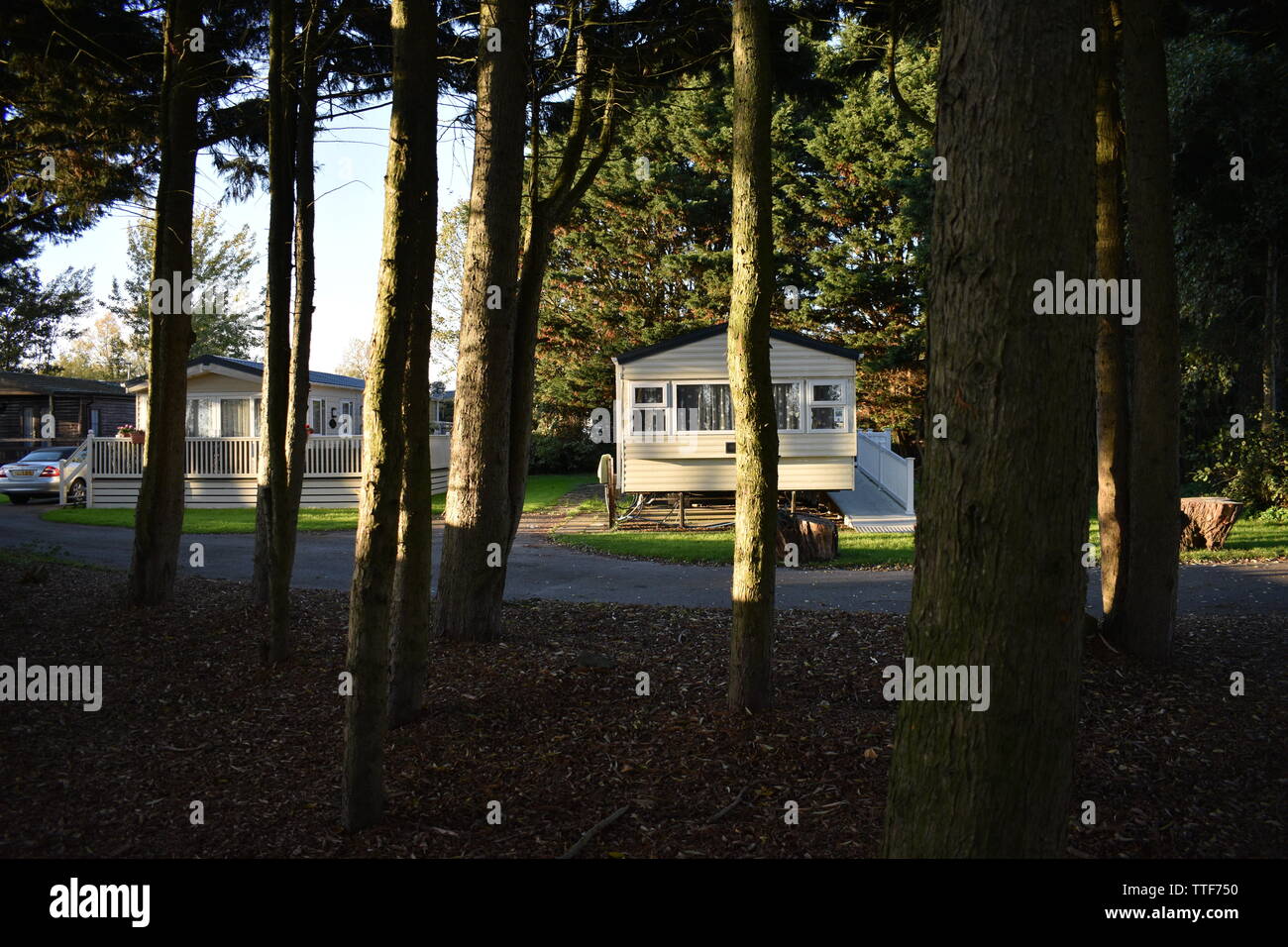 In den frühen Abend, Sonnenuntergang in unheimlich gruselig Eröffnung einer Woods in einem Wohnwagen/Anhänger Park Stockfoto