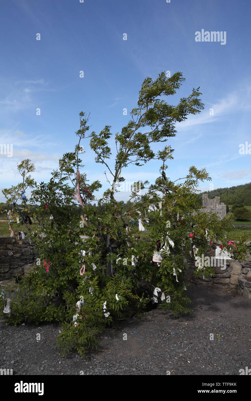Die Rag Baum auf der Website von Tobernacogany, den heiligen Brunnen, eines der sieben Weltwunder Fore, County Westmeath, Irland Stockfoto