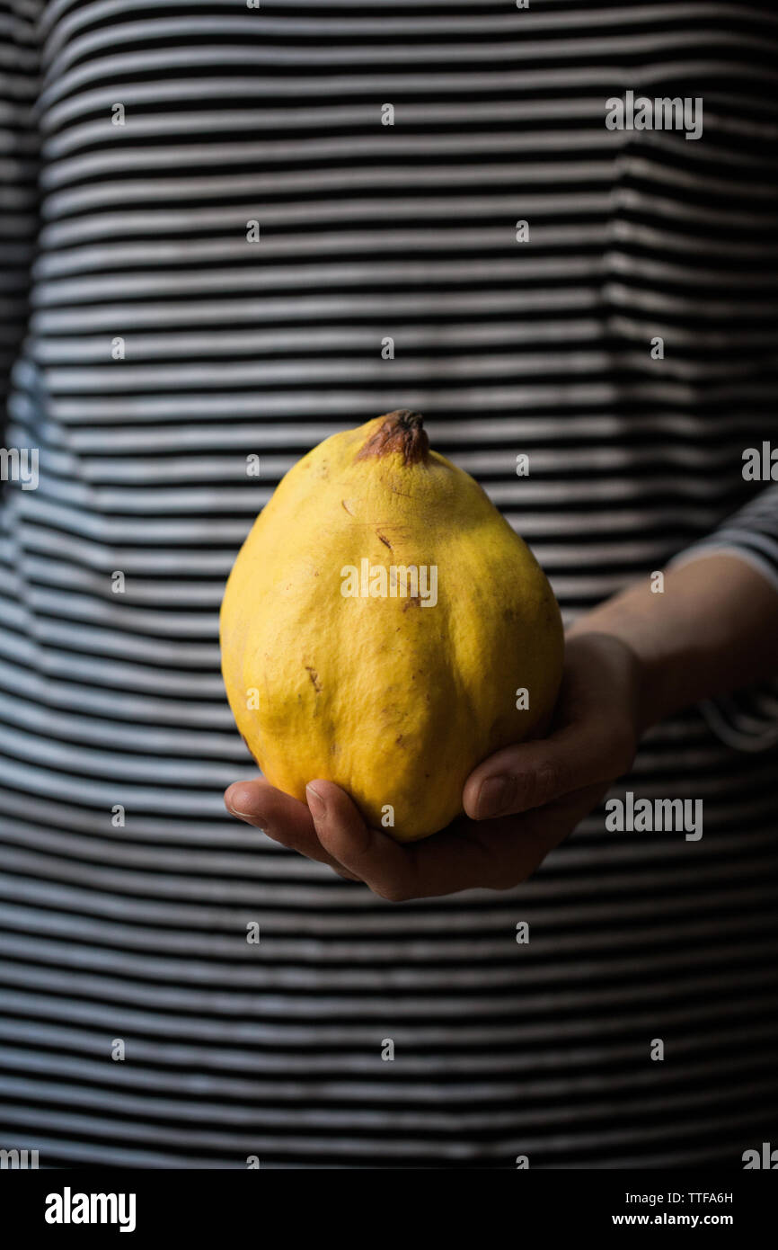 Frau Hand mit einem Quitte fruite Stockfoto