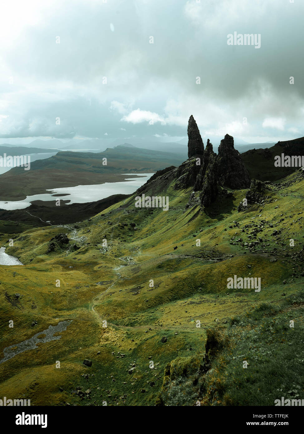 Storr. Blick auf die felsige Moss in den Highlands von Schottland gegen die Stockfoto