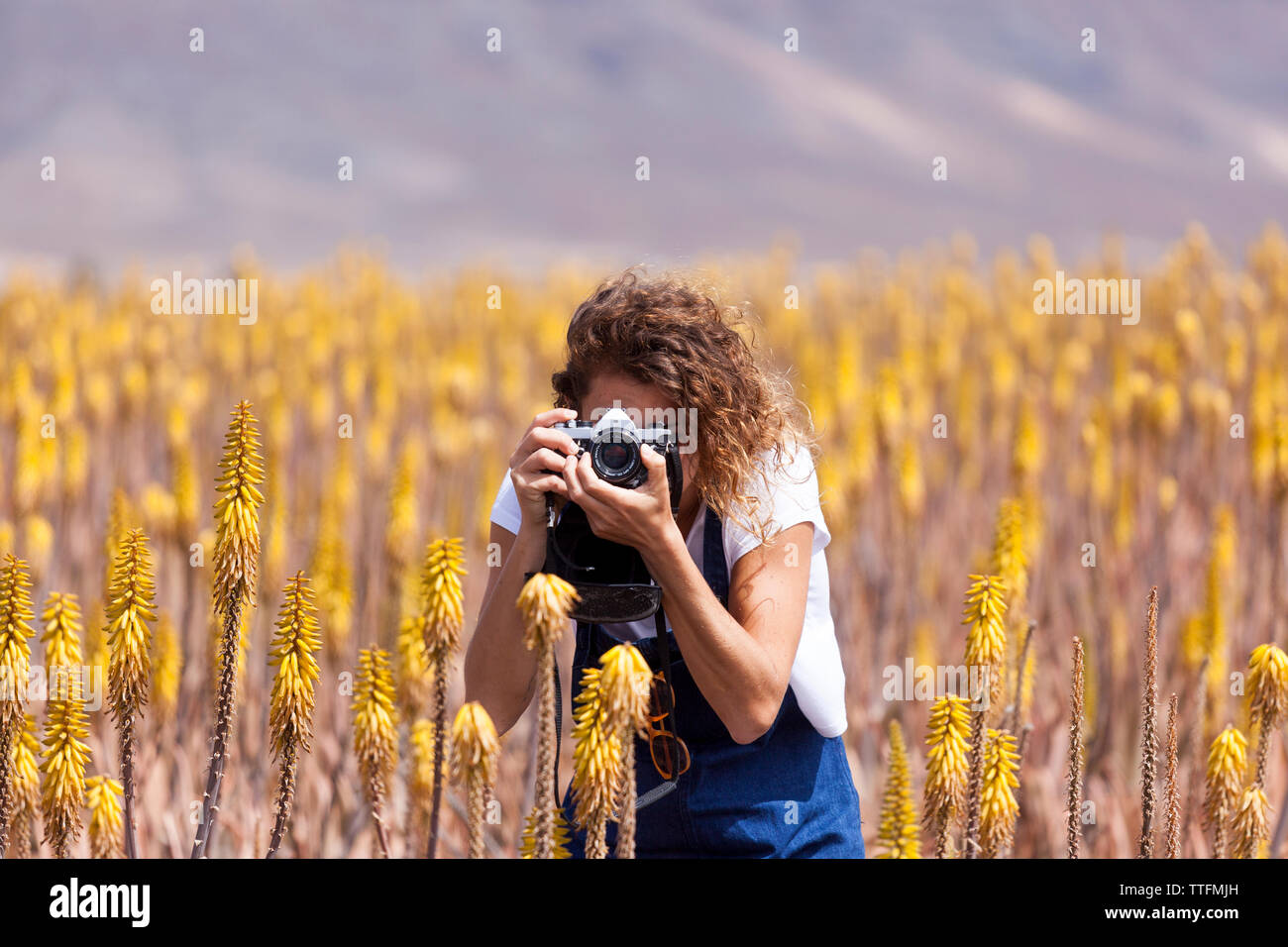 Mädchen mit Kamera in der Aloe vera Feld, Fuerteventura Stockfoto
