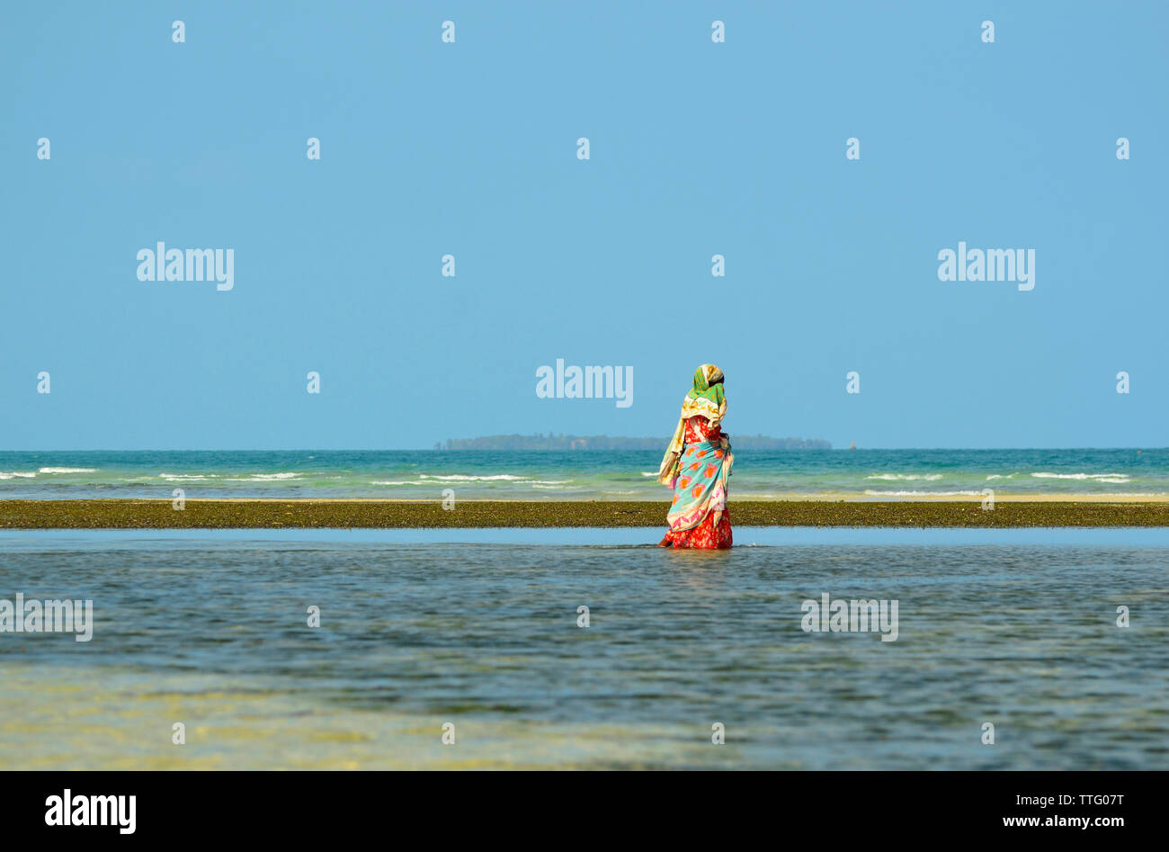 Nicht identifizierte Frau in traditionellen Buntes Kleid Ernte Algen und Weichtiere während der Ebbe. Sansibar, Tansania Stockfoto