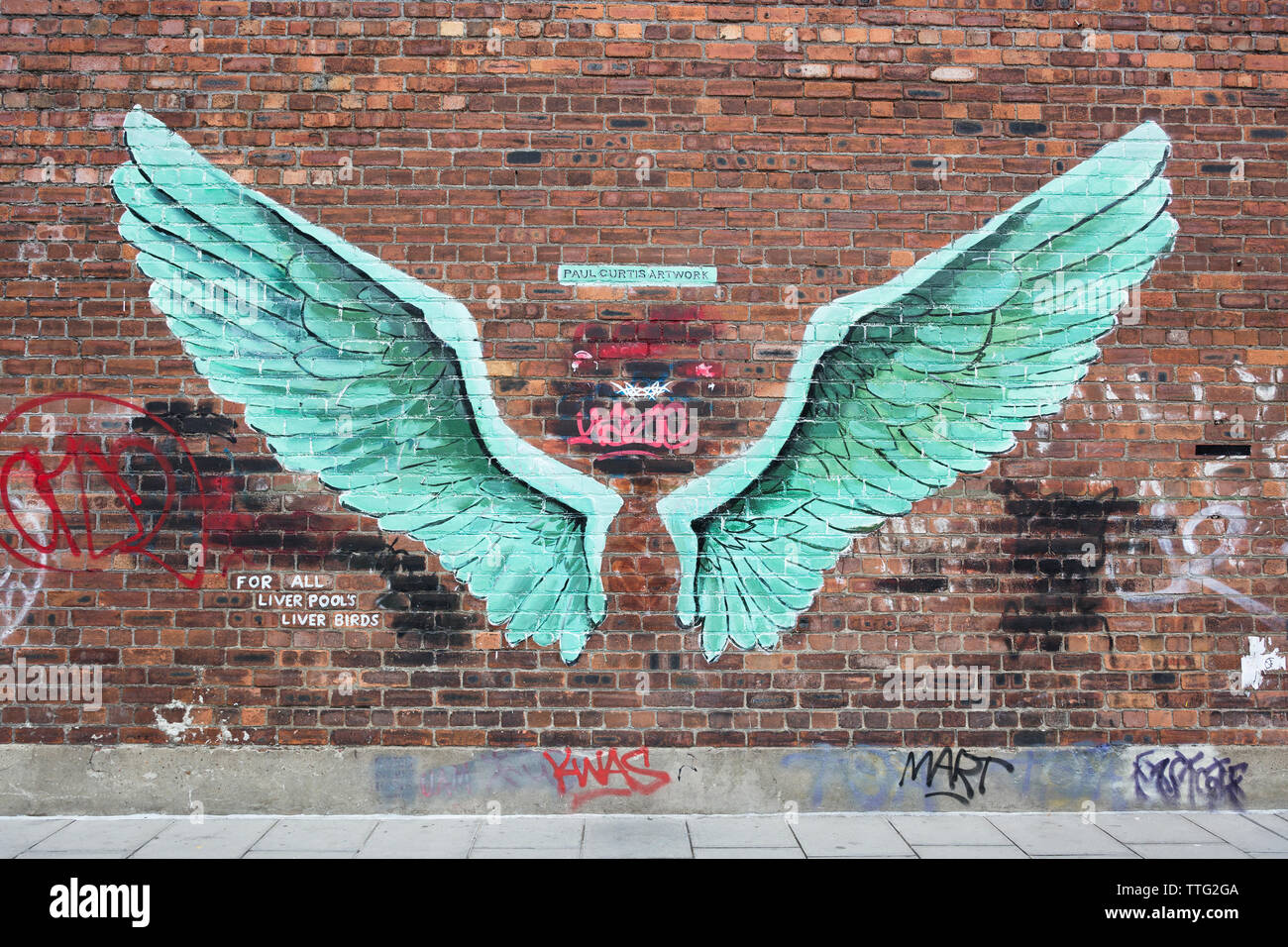 Für alle Liverpool Leber Vögel, Street Art von Paul Curtis, Jamaica Street, Baltische Dreieck, Liverpool, Merseyside, England, Großbritannien Stockfoto