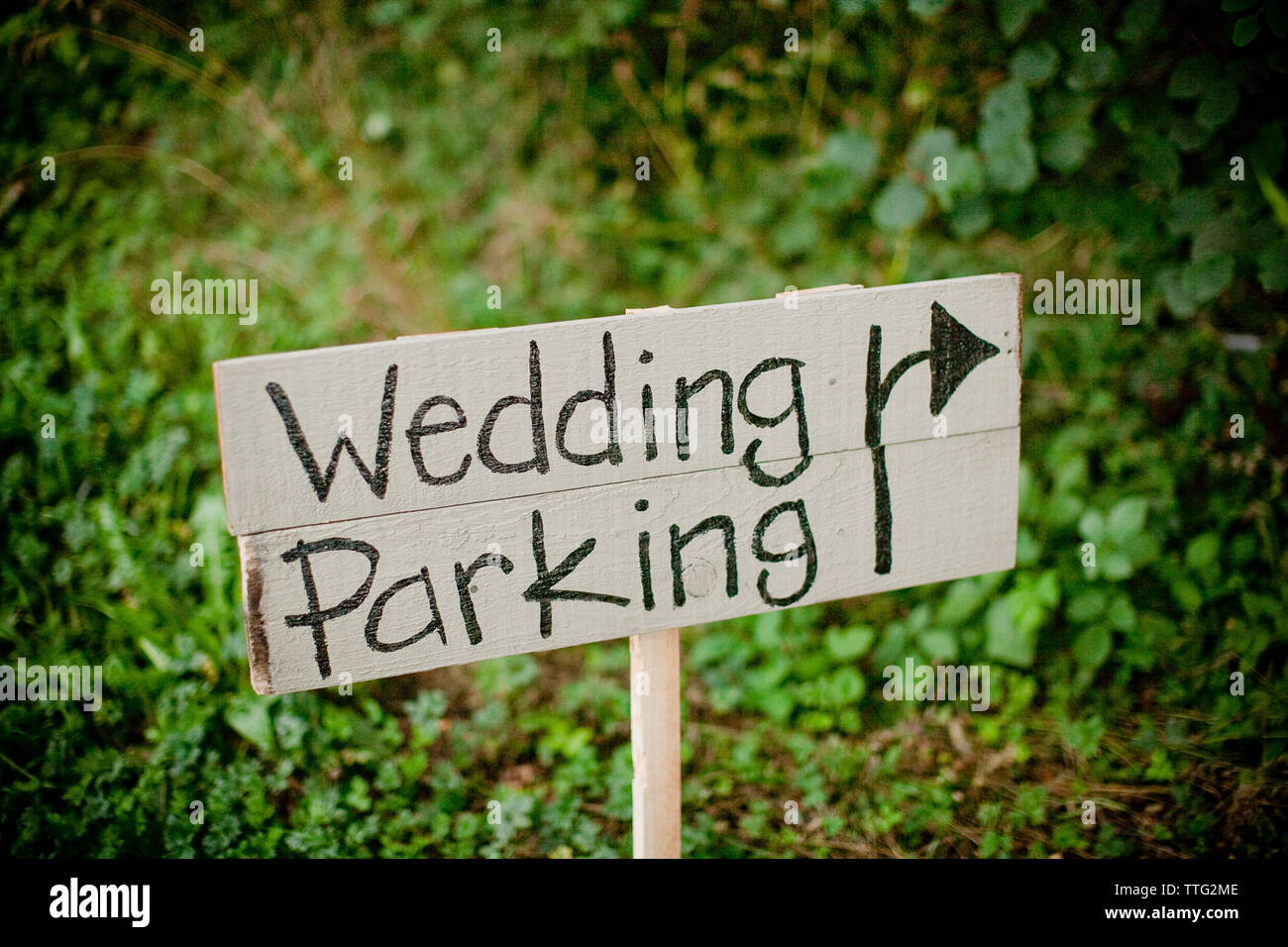 Hochzeit Text auf Holzbrett im Bereich Parken Stockfoto