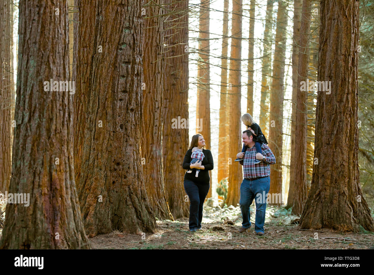 Familie von vier unterhalten während man durch ruhigen Wald Stockfoto