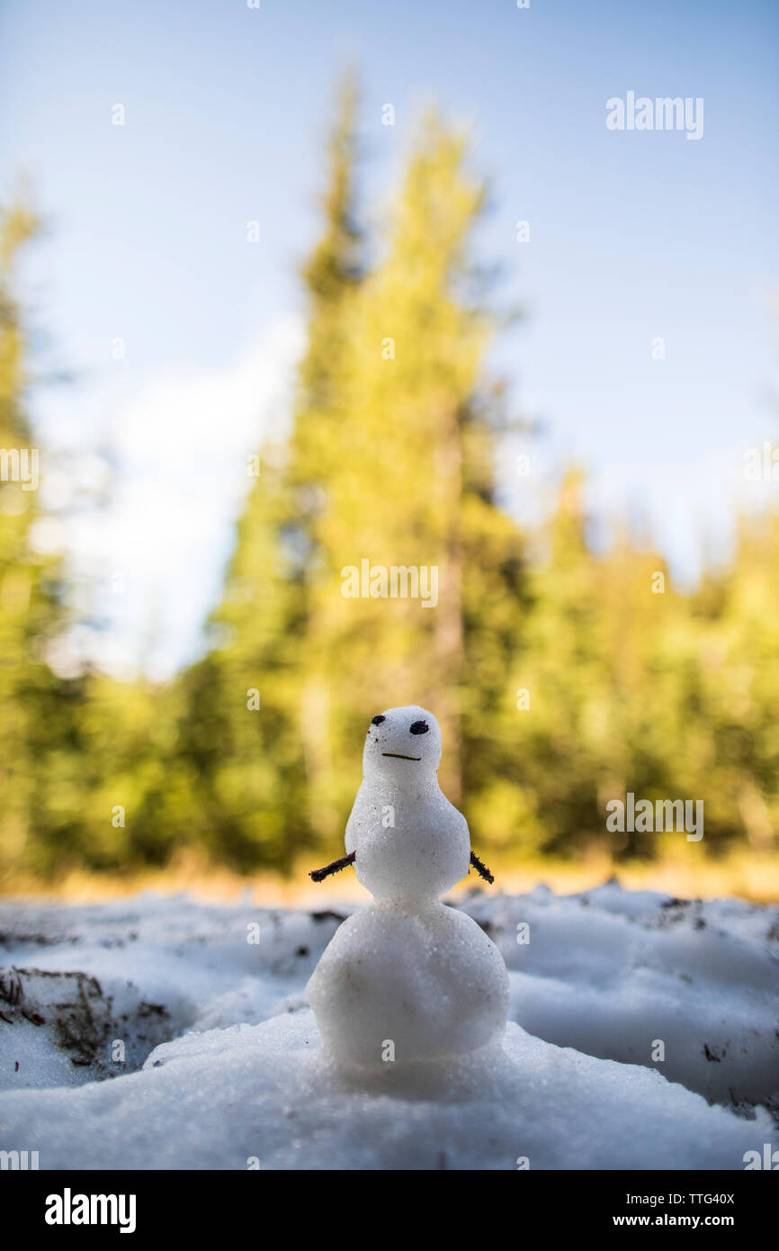 Miniatur Schneemann im Wald. Stockfoto