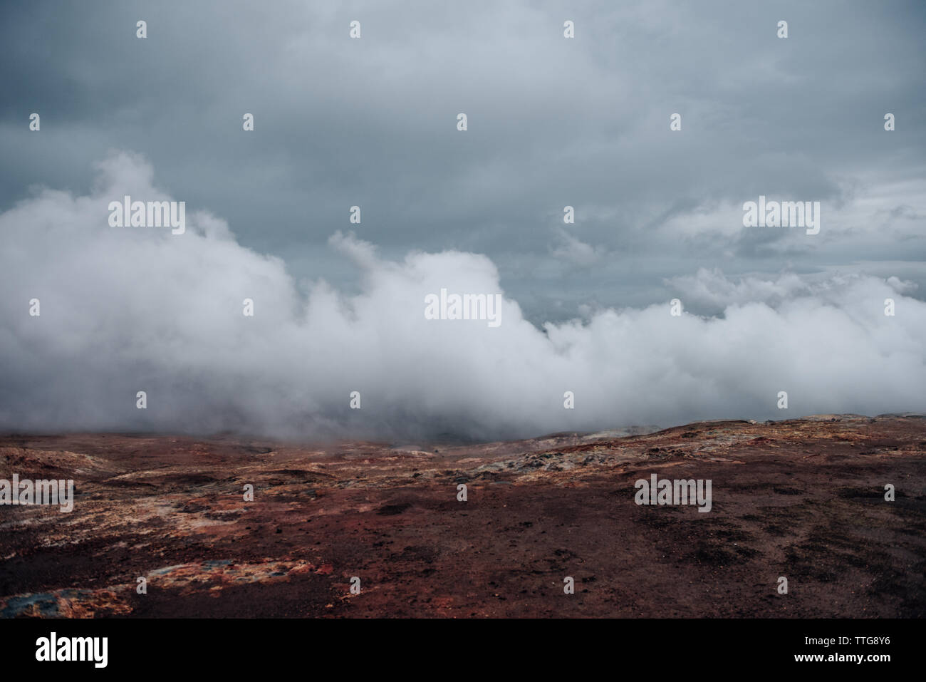 Dampfschwaden aus dem Geysir in Island Stockfoto