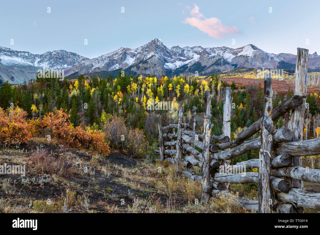 Holz Zaun vor der Espe Wald und Schnee bedeckte Berge Stockfoto