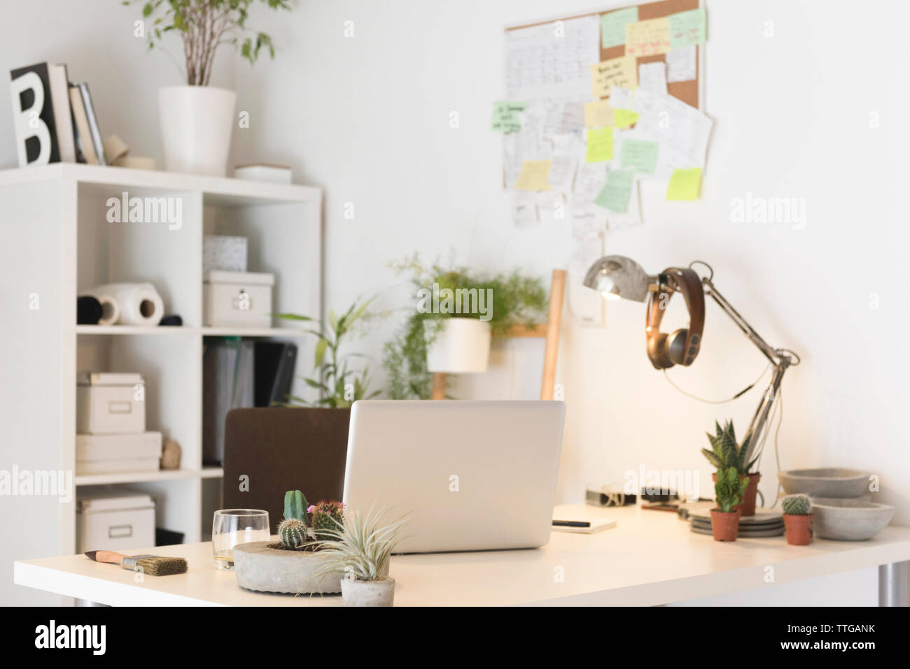 Laptop auf dem Schreibtisch mit Lampe Zimmerpflanzen in kreative Büro Stockfoto