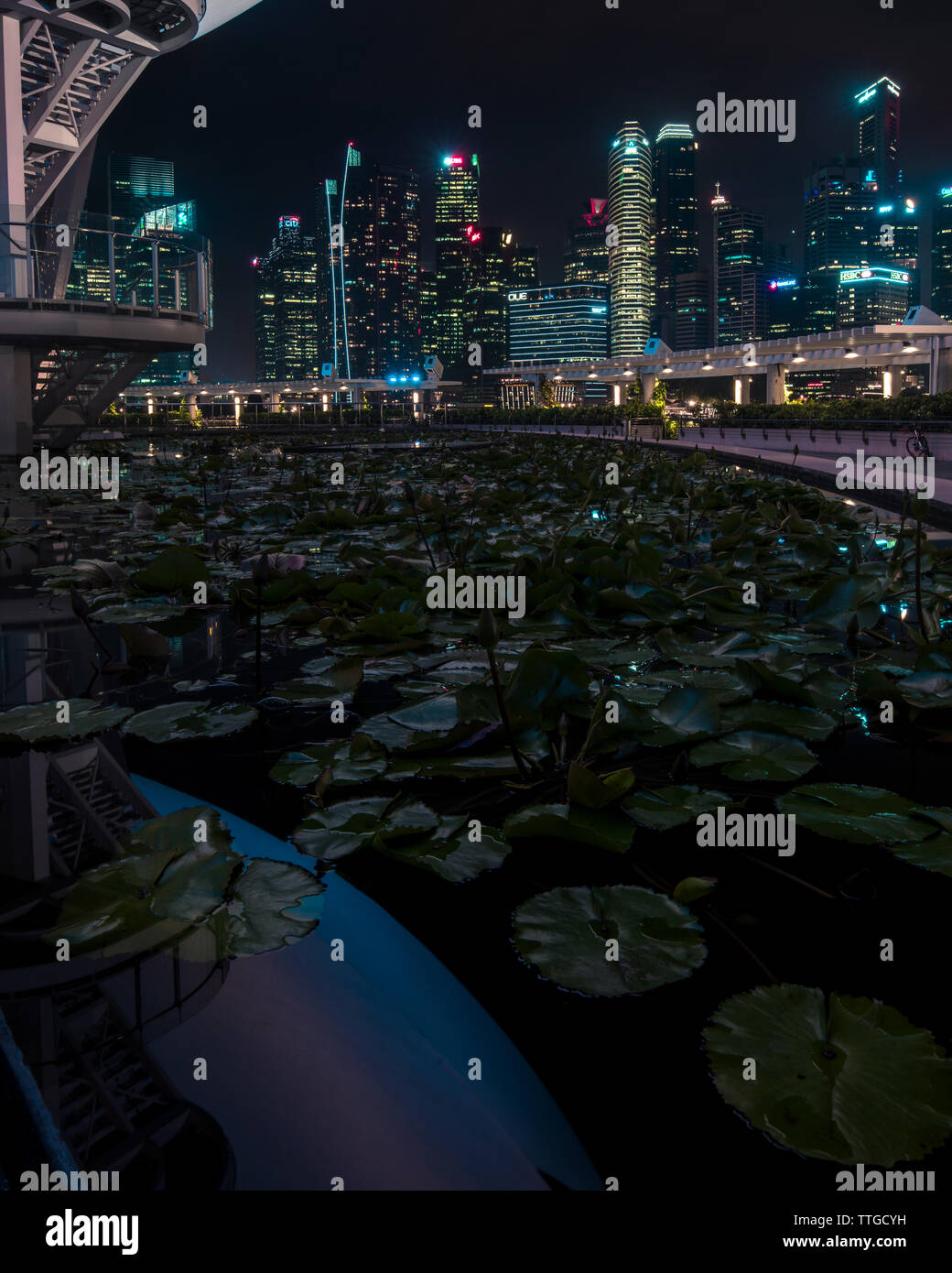 Singapur Lily Pads Stockfoto