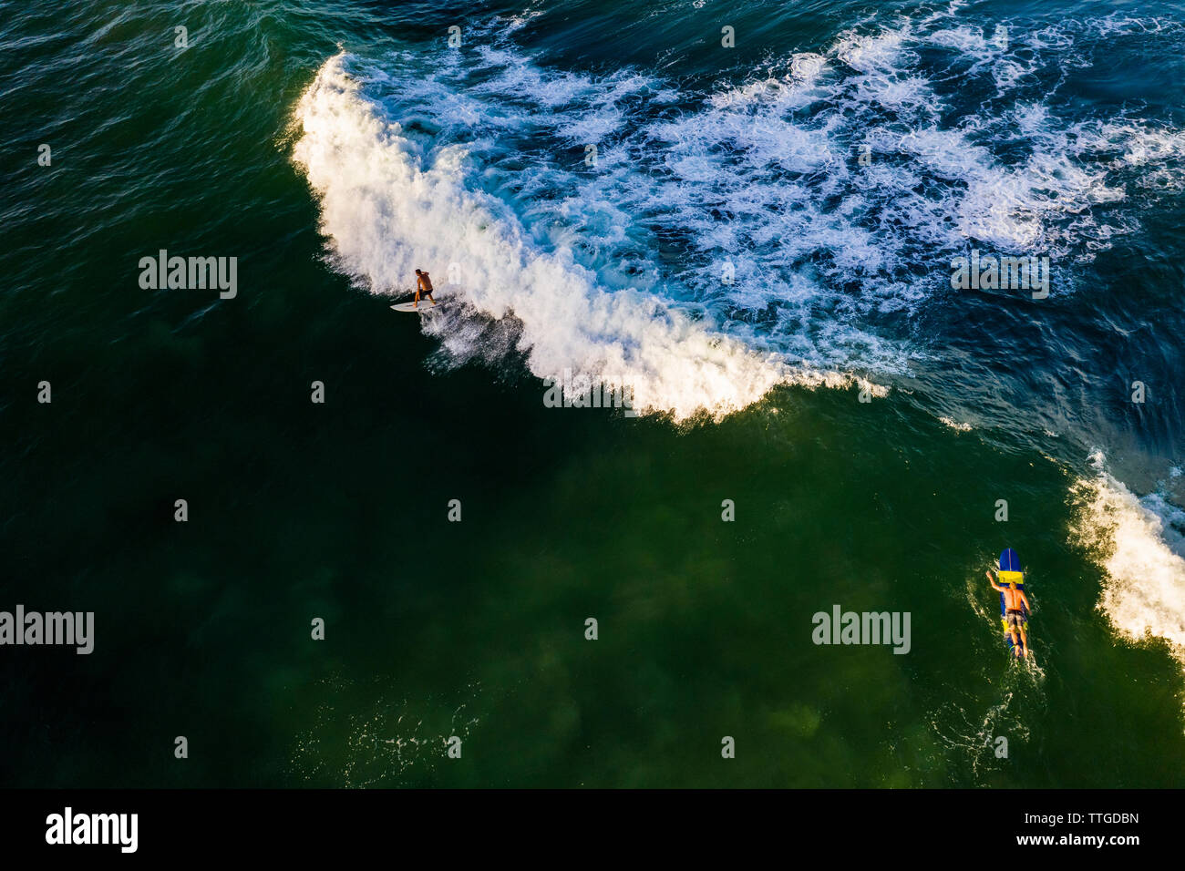 Luftbild des Surfers und Welle von oben, Burleigh Heads Australien Stockfoto