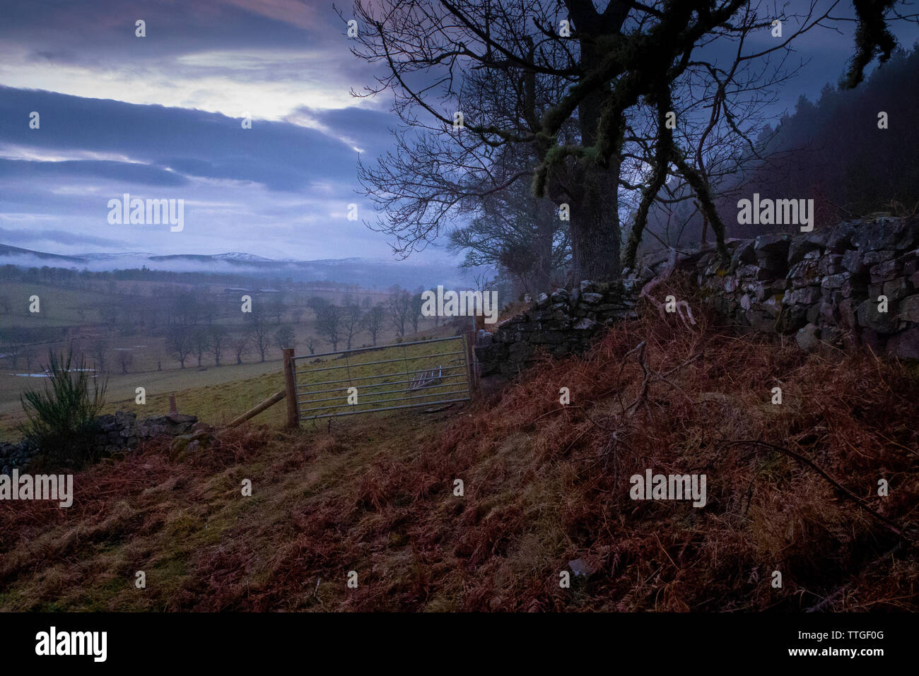 Landschaft von Ackerland in den Dornoch Firth Schottland Großbritannien Stockfoto